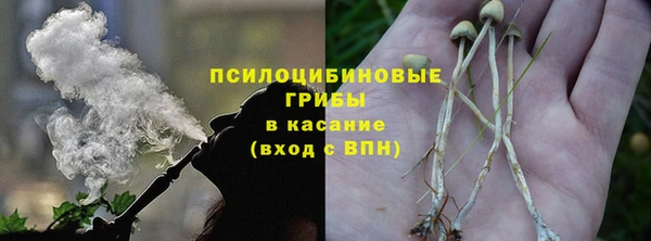 дживик Абинск