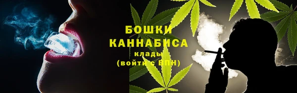 шишки Алексеевка